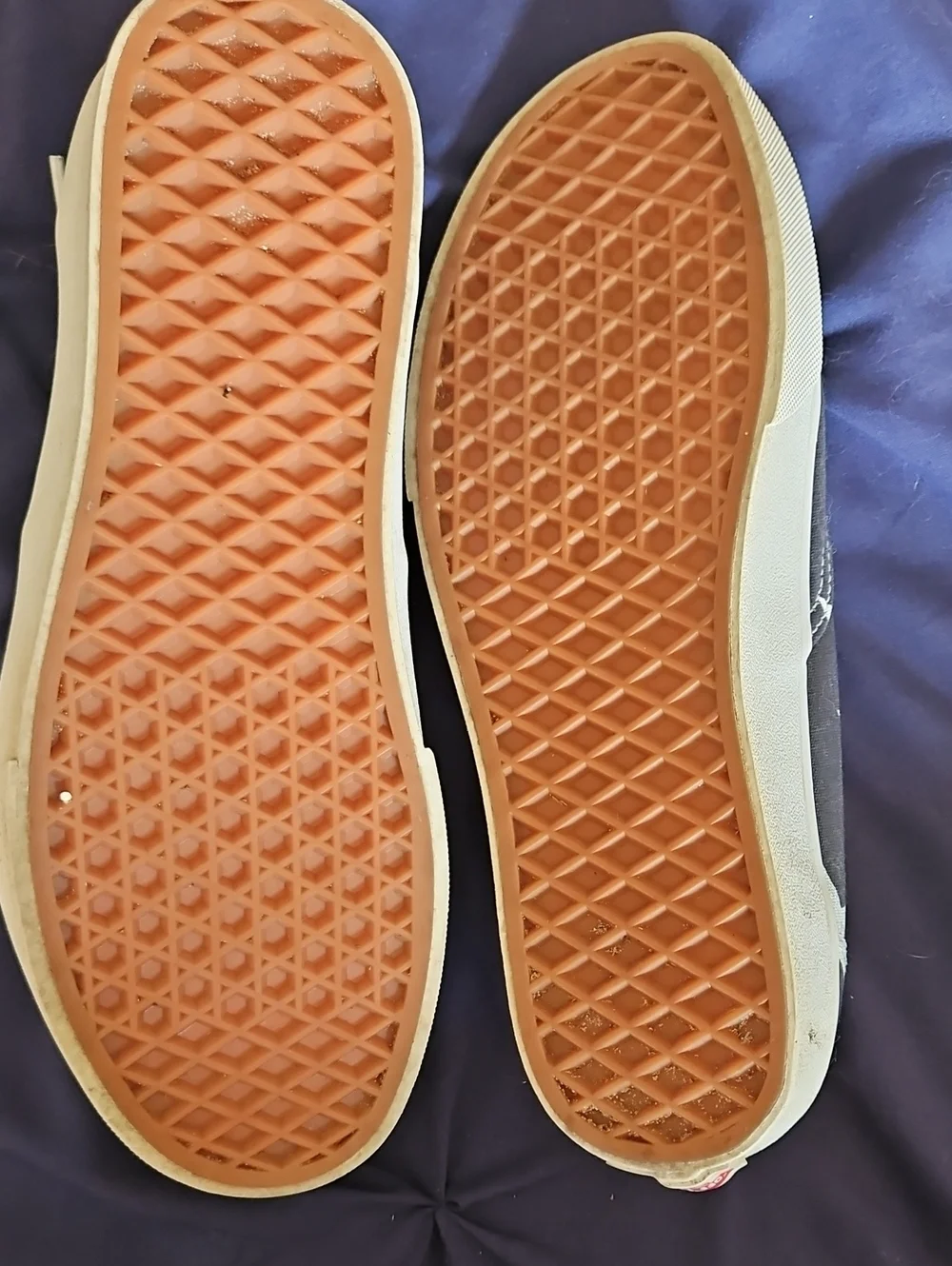 Vans Sneakers